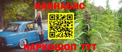 кокс Можга