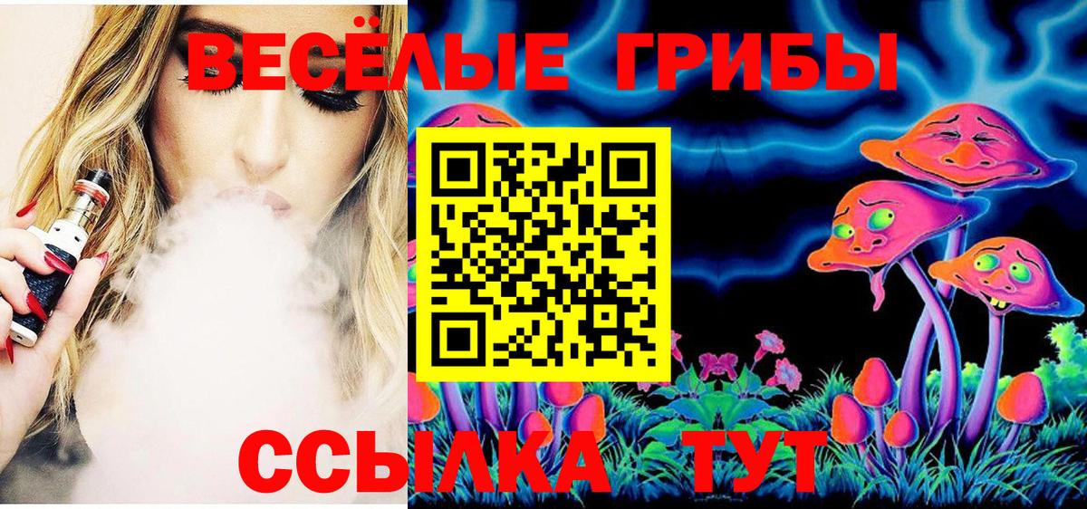 как найти наркотики  Вход с VPN  Сегежа  Псилоцибиновые грибы ЛСД 